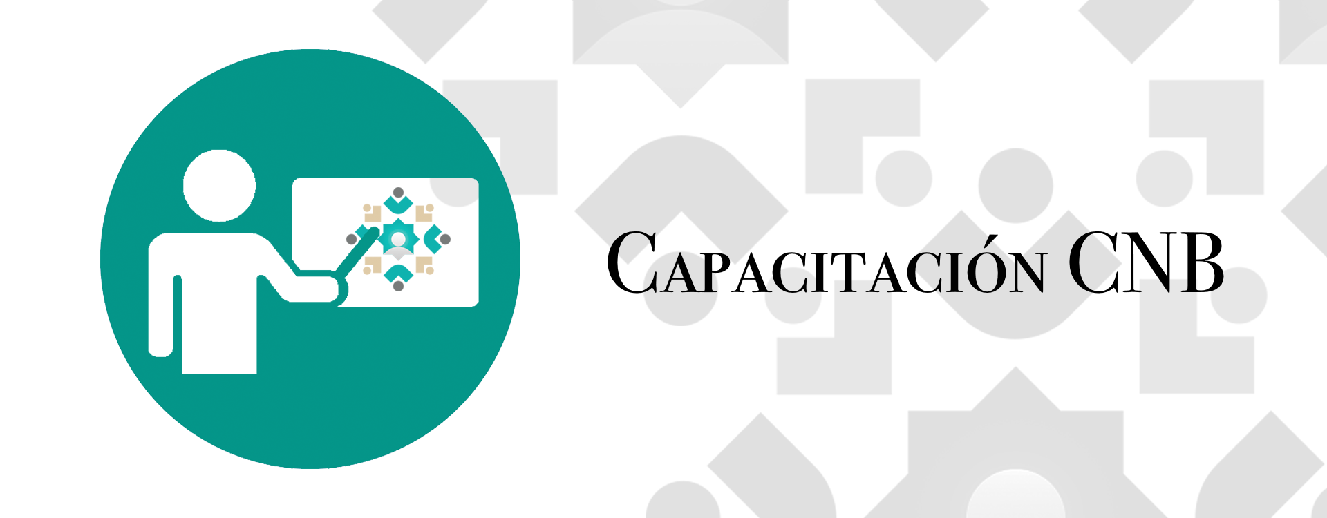 Capacitacion CNB