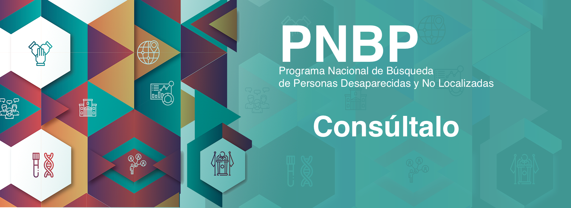 Comisión Nacional De Búsqueda Sitio Oficial 1126